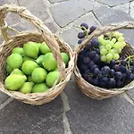 Casa Elisa *